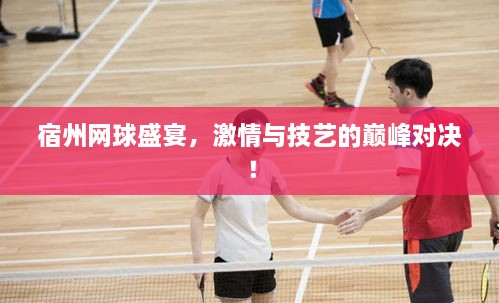 宿州網(wǎng)球盛宴，激情與技藝的巔峰對(duì)決！