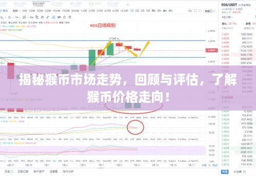 揭秘猴幣市場走勢，回顧與評估，了解猴幣價(jià)格走向！