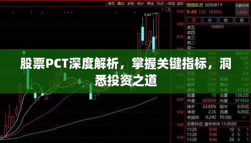 股票PCT深度解析，掌握關(guān)鍵指標(biāo)，洞悉投資之道