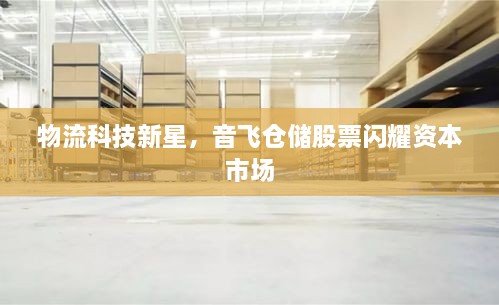 物流科技新星，音飛倉(cāng)儲(chǔ)股票閃耀資本市場(chǎng)