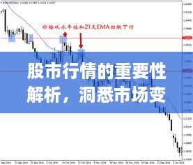 股市行情的重要性解析，洞悉市場變化的關(guān)鍵所在！
