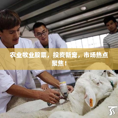 農(nóng)業(yè)牧業(yè)股票，投資新寵，市場熱點(diǎn)聚焦！