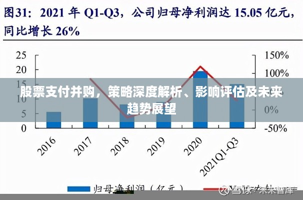 股票支付并購(gòu)，策略深度解析、影響評(píng)估及未來(lái)趨勢(shì)展望