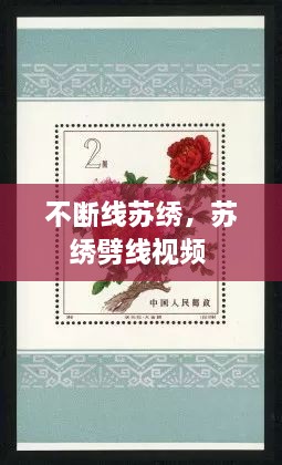 不斷線(xiàn)蘇繡，蘇繡劈線(xiàn)視頻 