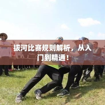 拔河比賽規(guī)則解析，從入門到精通！