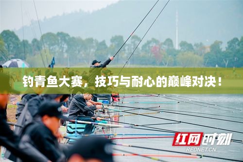 釣青魚大賽，技巧與耐心的巔峰對(duì)決！