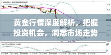 黃金行情深度解析，把握投資機會，洞悉市場走勢