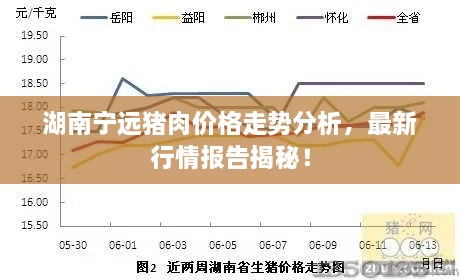 湖南寧遠豬肉價格走勢分析，最新行情報告揭秘！