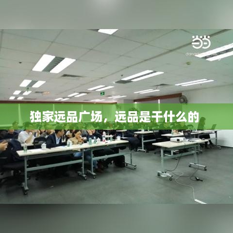 獨(dú)家遠(yuǎn)品廣場，遠(yuǎn)品是干什么的 