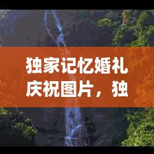 獨家記憶婚禮慶祝圖片，獨家記憶圖片唯美 