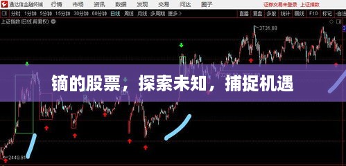 鏑的股票，探索未知，捕捉機遇