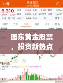 園東黃金股票，投資新熱點(diǎn)，財(cái)富新選擇