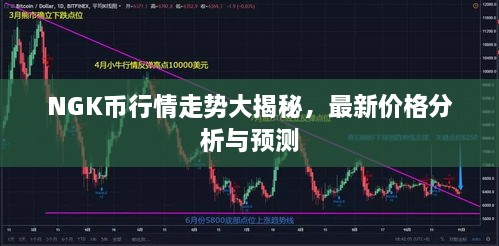 NGK幣行情走勢(shì)大揭秘，最新價(jià)格分析與預(yù)測(cè)