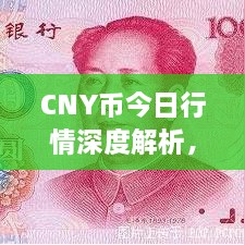 CNY幣今日行情深度解析，最新價(jià)格動(dòng)態(tài)一網(wǎng)打盡！