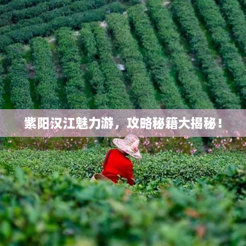 紫陽(yáng)漢江魅力游，攻略秘籍大揭秘！