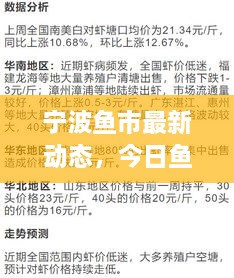 寧波魚市最新動態(tài)，今日魚價、市場走勢及影響因素全解析