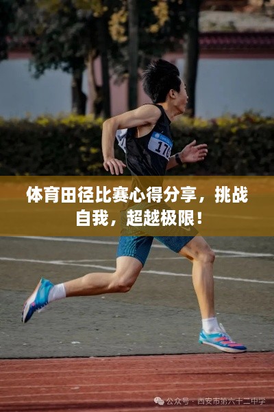 體育田徑比賽心得分享，挑戰(zhàn)自我，超越極限！