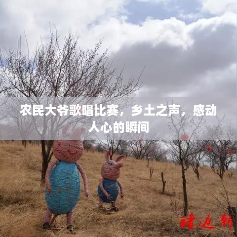 農(nóng)民大爺歌唱比賽，鄉(xiāng)土之聲，感動人心的瞬間