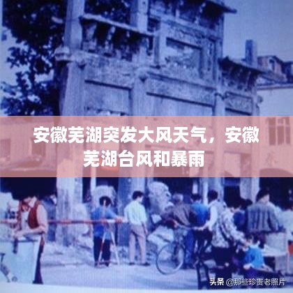 安徽蕪湖突發(fā)大風(fēng)天氣，安徽蕪湖臺(tái)風(fēng)和暴雨 