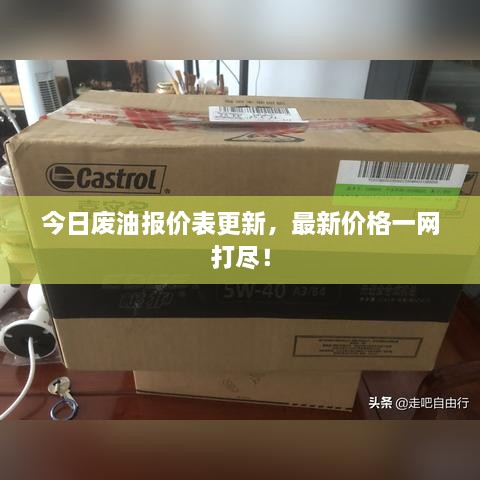 今日廢油報(bào)價(jià)表更新，最新價(jià)格一網(wǎng)打盡！