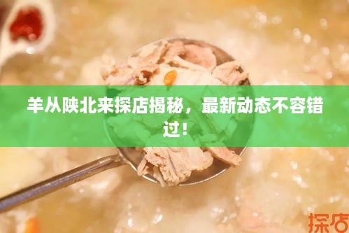 羊從陜北來(lái)探店揭秘，最新動(dòng)態(tài)不容錯(cuò)過(guò)！