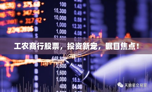 工農(nóng)商行股票，投資新寵，矚目焦點(diǎn)！