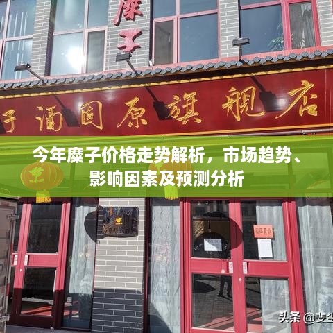 今年糜子價(jià)格走勢(shì)解析，市場(chǎng)趨勢(shì)、影響因素及預(yù)測(cè)分析
