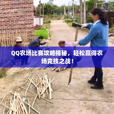 QQ農(nóng)場比賽攻略揭秘，輕松贏得農(nóng)場競技之戰(zhàn)！