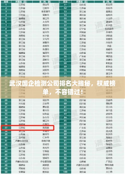 武漢國企檢測公司排名大揭秘，權威榜單，不容錯過！