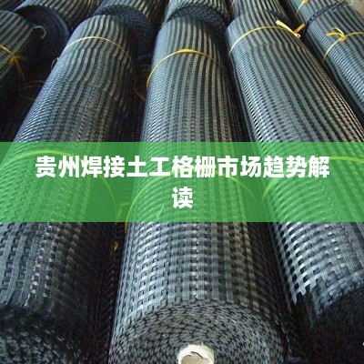 貴州焊接土工格柵市場趨勢(shì)解讀