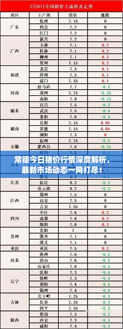 常德今日豬價行情深度解析，最新市場動態(tài)一網(wǎng)打盡！