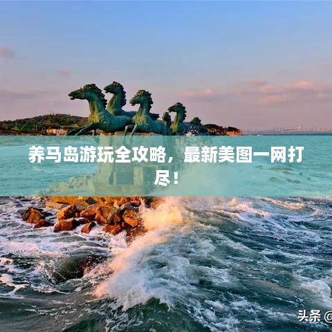 養(yǎng)馬島游玩全攻略，最新美圖一網(wǎng)打盡！