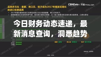 今日財(cái)務(wù)動態(tài)速遞，最新消息查詢，洞悉趨勢，掌握財(cái)經(jīng)動態(tài)
