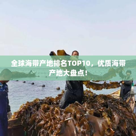 全球海帶產(chǎn)地排名TOP10，優(yōu)質(zhì)海帶產(chǎn)地大盤點！