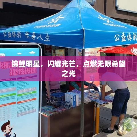 錦鯉明星，閃耀光芒，點燃無限希望之光
