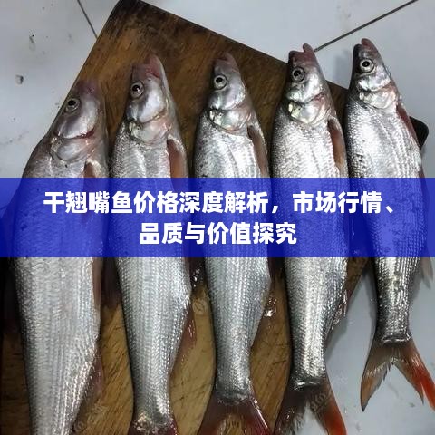 干翹嘴魚價(jià)格深度解析，市場行情、品質(zhì)與價(jià)值探究