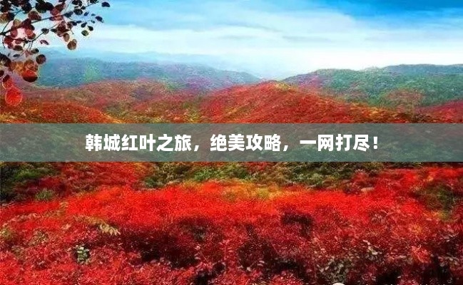 韓城紅葉之旅，絕美攻略，一網(wǎng)打盡！