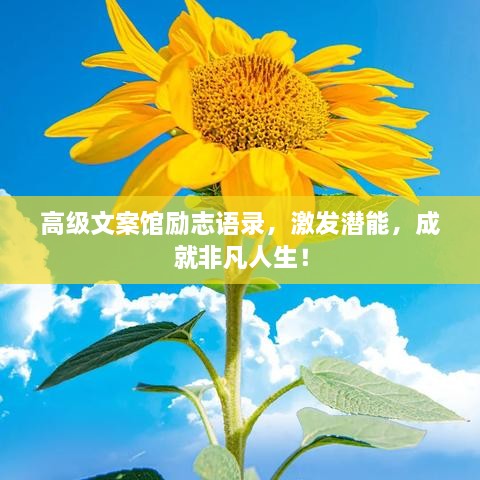 高級(jí)文案館勵(lì)志語(yǔ)錄，激發(fā)潛能，成就非凡人生！