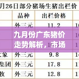 九月份廣東豬價走勢解析，市場行情、價格變動一網(wǎng)打盡