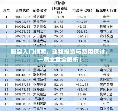 股票入門指南，動(dòng)牧投資與費(fèi)用探討，一篇文章全解析！