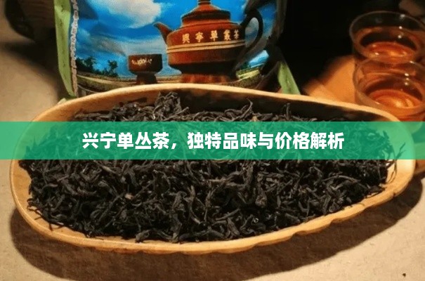興寧單叢茶，獨(dú)特品味與價(jià)格解析