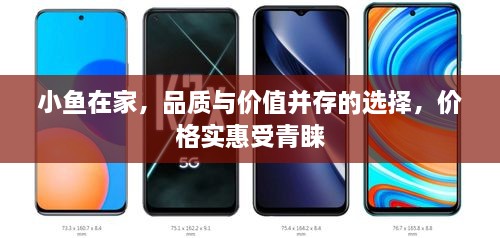 小魚在家，品質(zhì)與價值并存的選擇，價格實惠受青睞