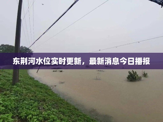 東荊河水位實時更新，最新消息今日播報