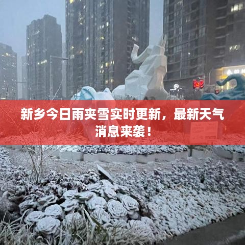 新鄉(xiāng)今日雨夾雪實(shí)時(shí)更新，最新天氣消息來襲！