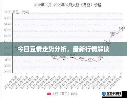 今日豆情走勢(shì)分析，最新行情解讀