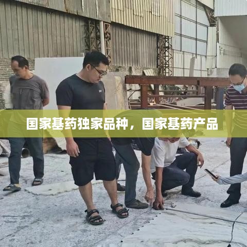 工程案例 第55頁(yè)