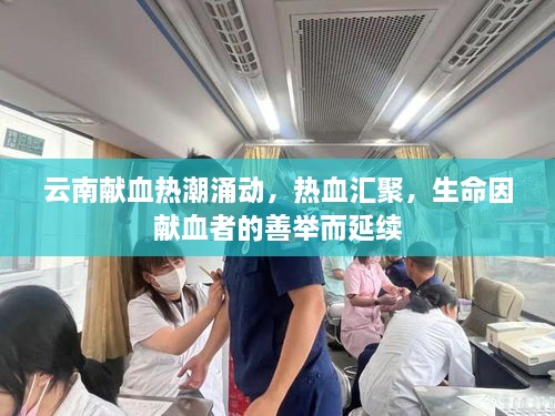 云南獻(xiàn)血熱潮涌動，熱血匯聚，生命因獻(xiàn)血者的善舉而延續(xù)