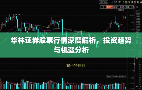 華林證券股票行情深度解析，投資趨勢與機遇分析