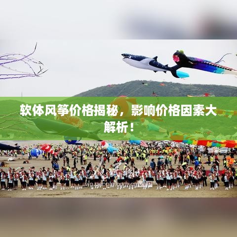 軟體風(fēng)箏價(jià)格揭秘，影響價(jià)格因素大解析！