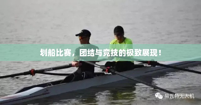 劃船比賽，團(tuán)結(jié)與競技的極致展現(xiàn)！